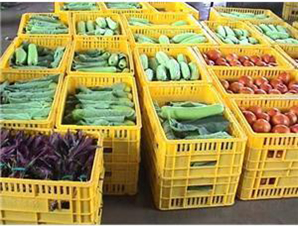 生鮮食材 (2).jpg 食材配送