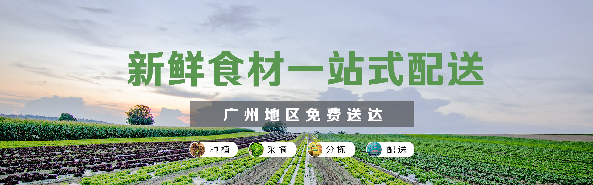 廣州食堂新鮮食材一站式配送