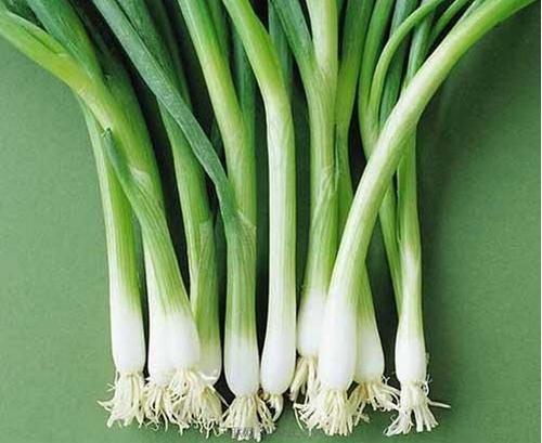 蔥.jpg