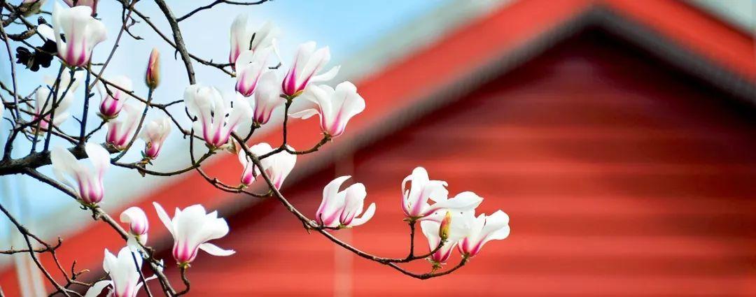 早春景象.jpg 早春景象.jpg