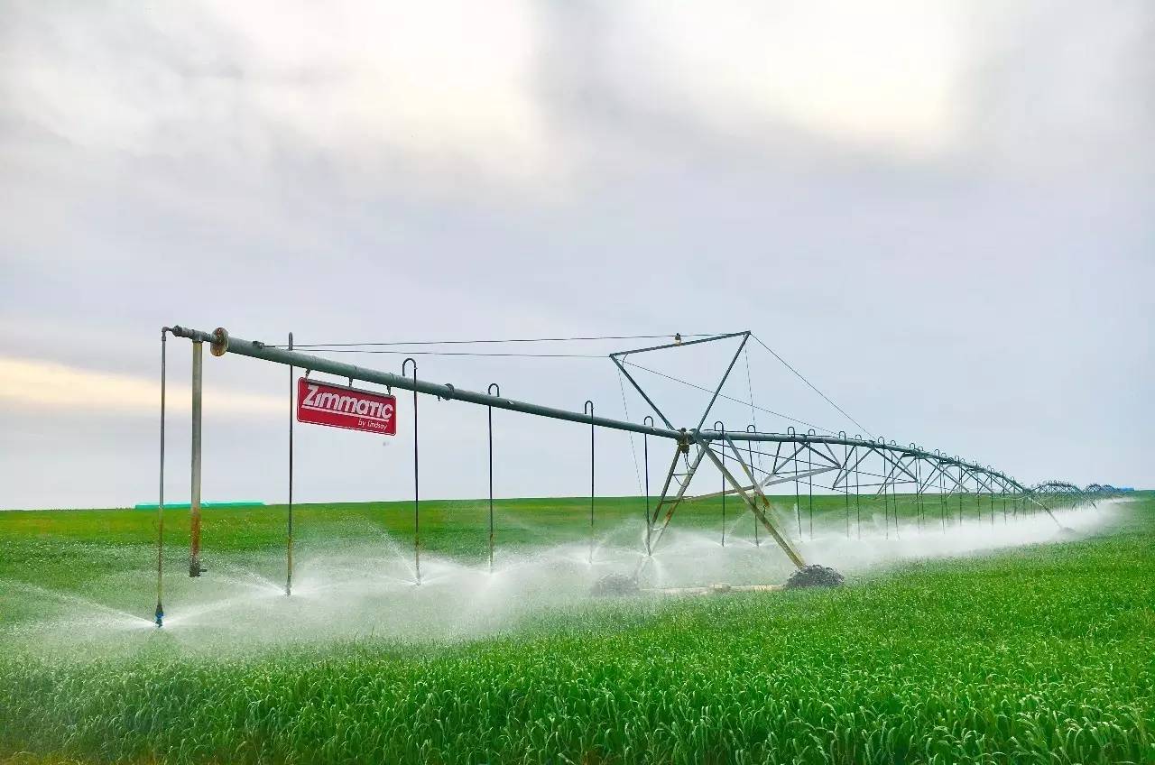 春灌中耕.jpg 春灌中耕.jpg