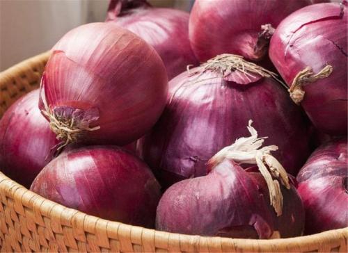 洋蔥.jpg