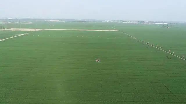 無人蔬菜基地.jpg 無人蔬菜基地