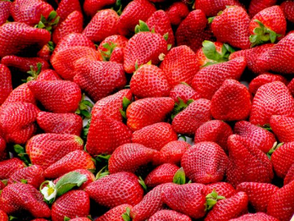 草莓.png 生鮮食材草莓