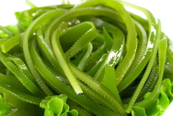 半成品.jpg 半成品海帶