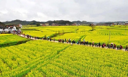 農(nóng)產(chǎn)品配送.jpg 農(nóng)產(chǎn)品配送.jpg