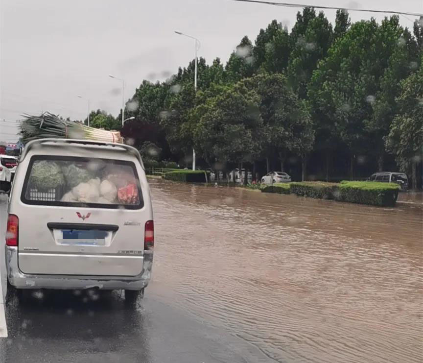 康來福送菜 康來福農產品送菜