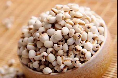 薏仁.jpg 薏仁.jpg