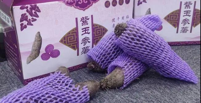 康樂福紫署.jpg 康樂福紫署