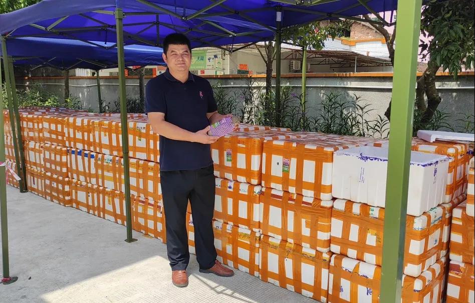 康來福羅坑村合作.jpg 康來福羅坑村合作.jpg