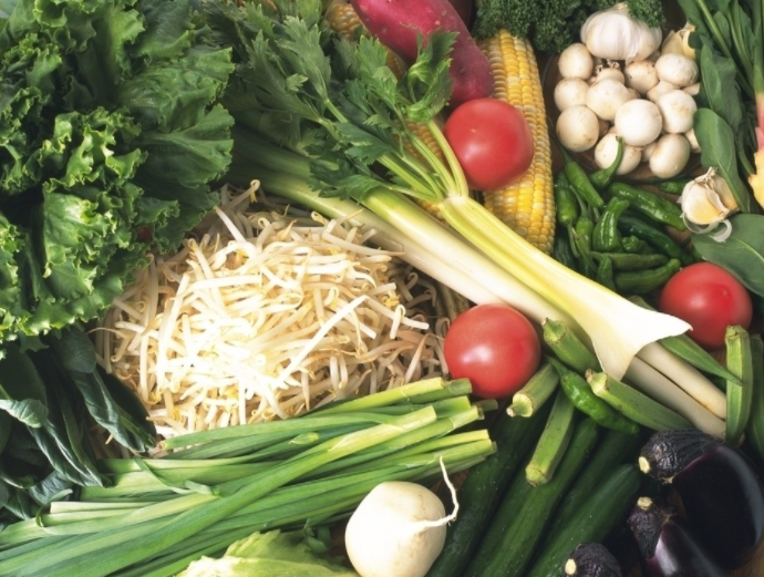 新鮮食蔬菜 蔬菜