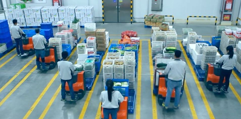 微信截圖_20210901170217.png 蔬菜配送機械分揀