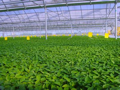 農產品食材.jpg 農產品食材