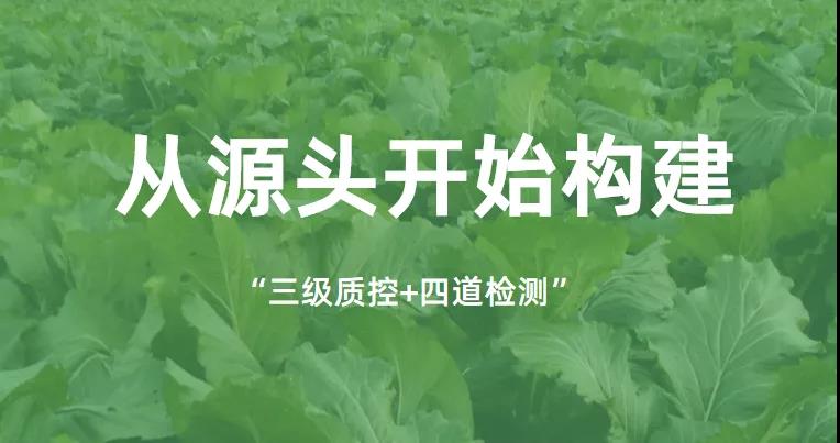 康來福源頭構建.jpg 康來福源頭構建