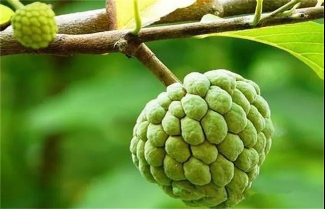 微信圖片_20210926114325.jpg 微信圖片_20210926114325.jpg