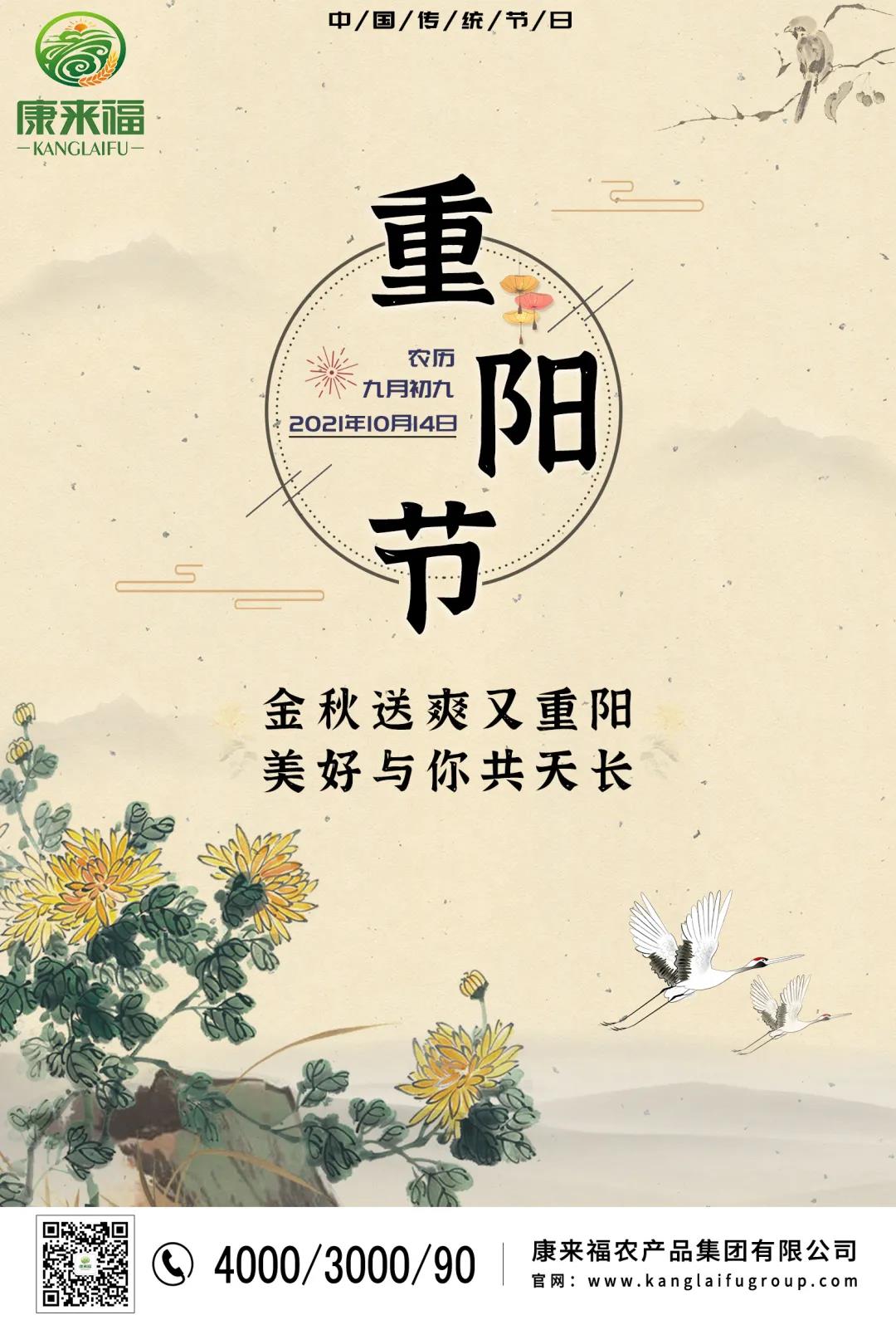 重陽節(jié)海報.jpg 重陽節(jié)海報.jpg