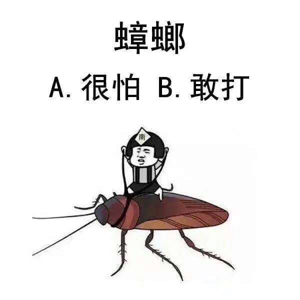 蟑螂 (3).jpg 蟑螂 (3).jpg