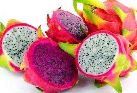 紅白心火龍果.jpg 紅白心火龍果