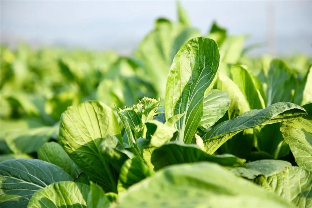 微信圖片_20220113171323.jpg 微信圖片_20220113171323.jpg