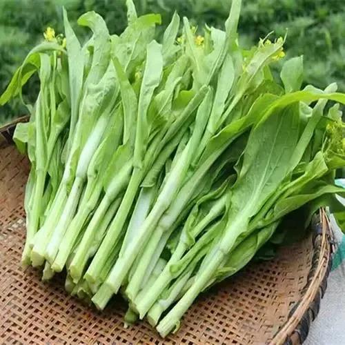 微信圖片_20220113171335.jpg 微信圖片_20220113171335.jpg