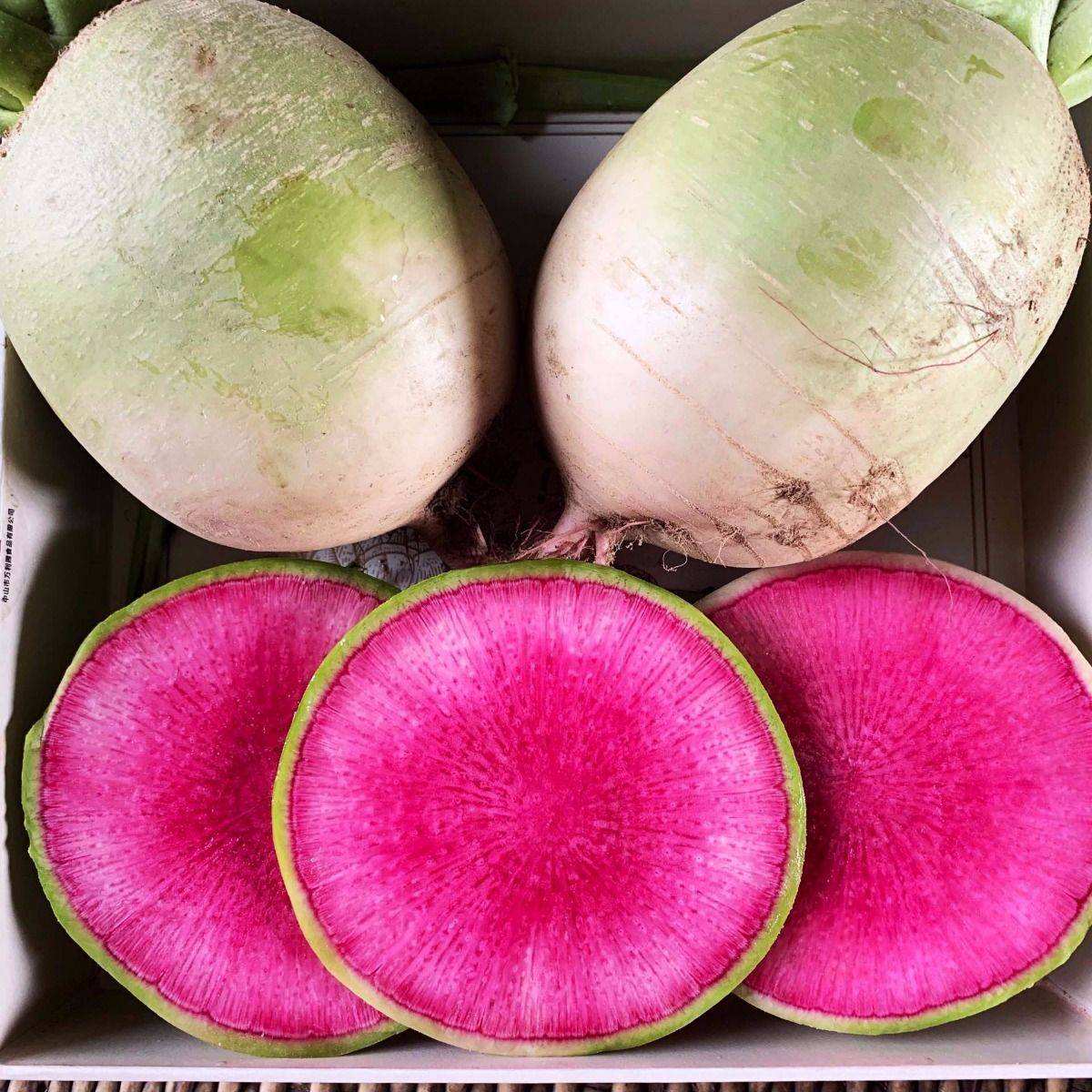 蘿卜 (4).jpg 蘿卜 (4).jpg