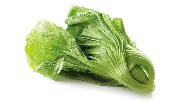 芥菜.jpg 芥菜.jpg