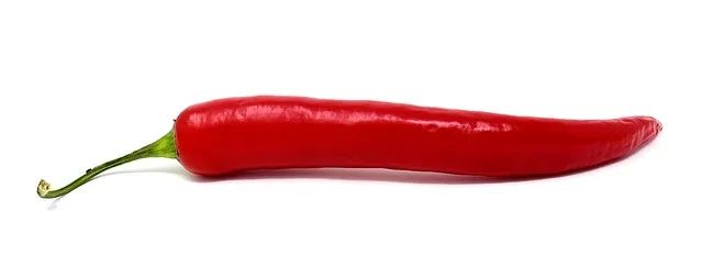 辣椒.jpg 辣椒.jpg