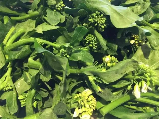 芥蘭.jpg 芥蘭.jpg