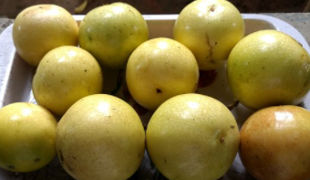 黃金百香果.png 黃金百香果