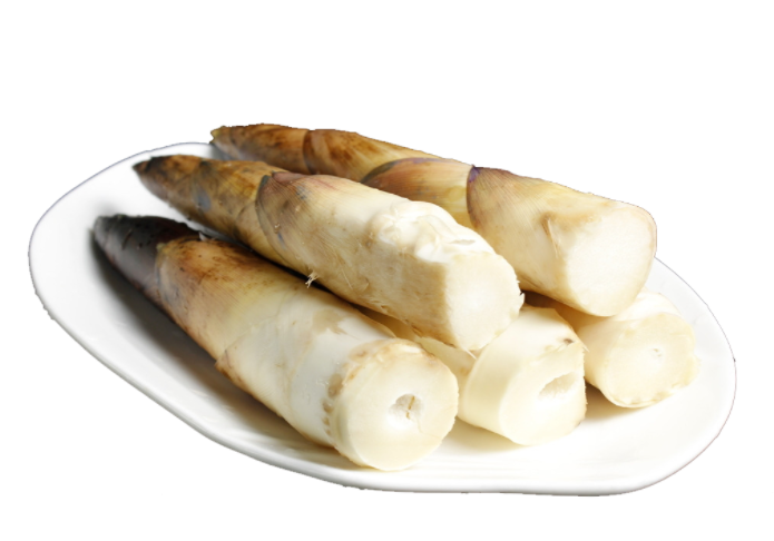 康來福食材講堂：為什么挖筍那么容易讓人上癮，挖筍要怎么挖？