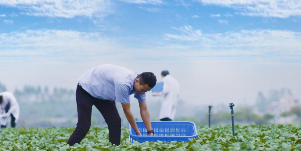 01.png 康來福種植基地