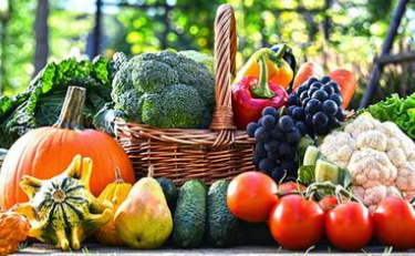 放心蔬菜 放心蔬菜