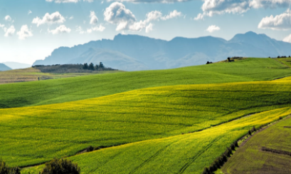 農場.png 農場.png