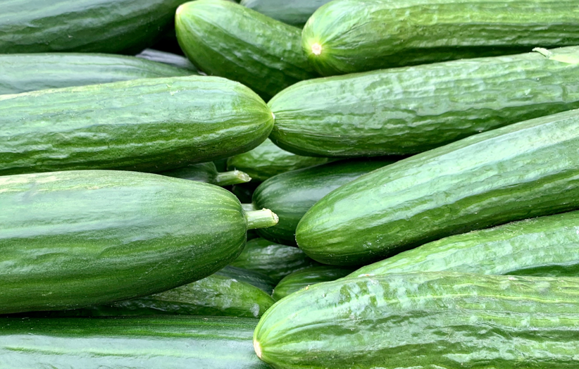 黃瓜 黃瓜