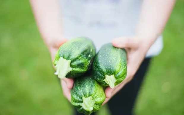 生鮮蔬菜配送 生鮮蔬菜配送