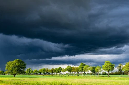 冬季天冷美食潤(rùn)肺，養(yǎng)肺的食材都有哪些呢？