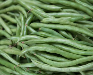 豆角 新鮮的豆角