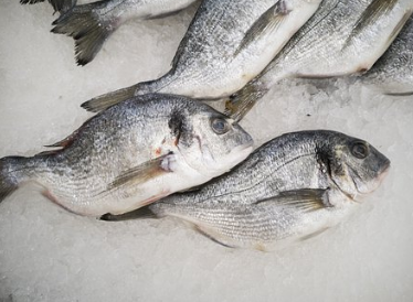 凍品肉類 (5).png