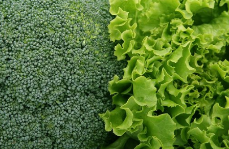 新鮮蔬菜 新鮮蔬菜