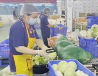 康來福食材分揀 康來福食材分揀