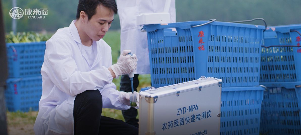 蔬菜種植基地  蔬菜種植基地