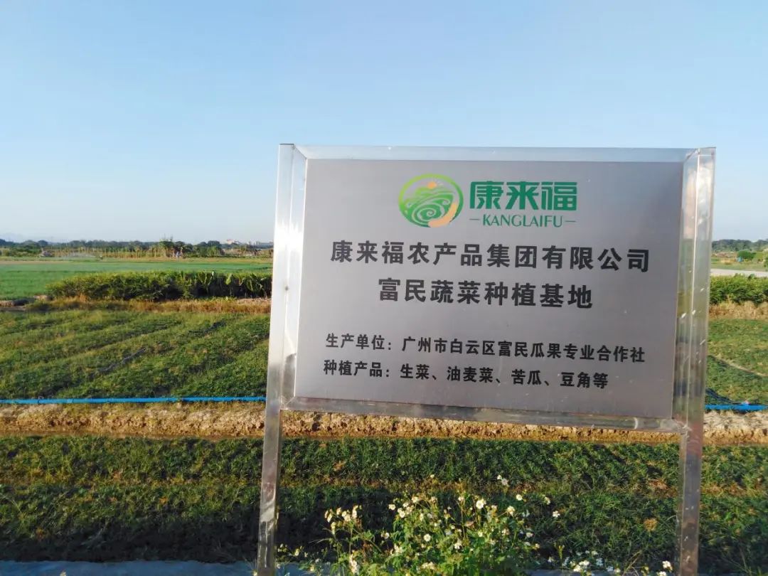 康來福集團蔬菜基地 康來福集團蔬菜基地