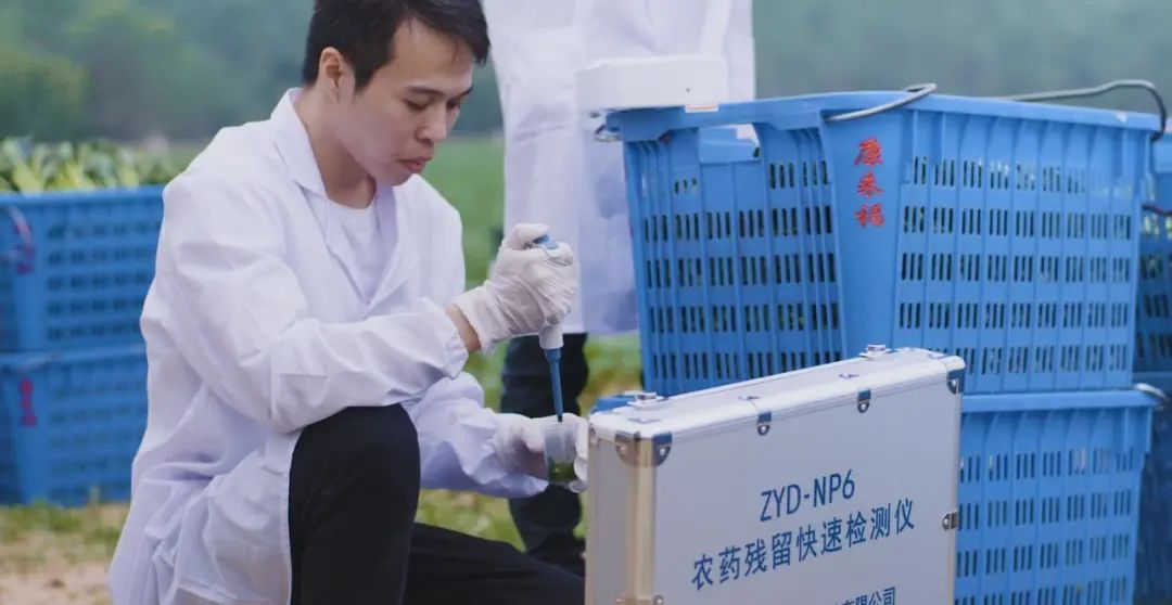 康來福集團農(nóng)產(chǎn)品檢查 康來福集團農(nóng)產(chǎn)品檢查