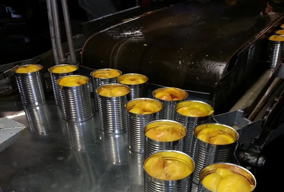 黃桃罐頭加工 黃桃罐頭加工