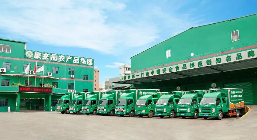 康來福蔬菜供應 康來福蔬菜供應