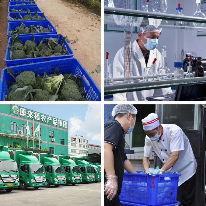 康來福集團 康來福集團