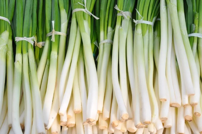蔥 蔥