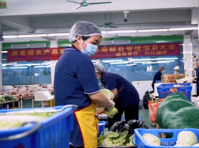 蔬菜分揀配送 蔬菜分揀配送