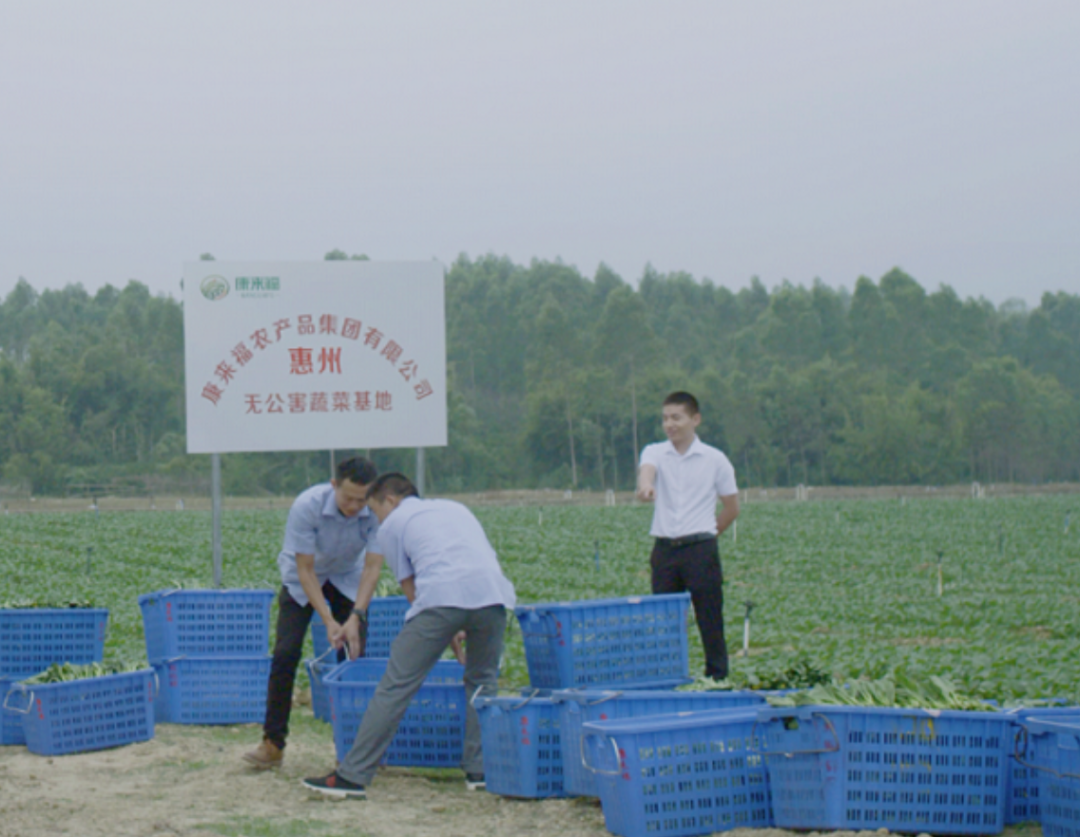 供應食材 供應食材