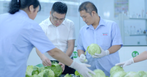 食堂配送公司 食堂配送公司